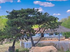 -沈阳森林动物园