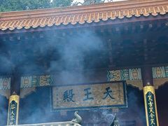 -深圳仙湖植物园