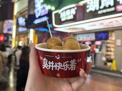-黑色经典臭豆腐·湖南特产(坡子街店)