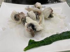 -源港渔村-中山脆肉鲩(博罗店)