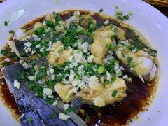 -全乐鱼馆·淳牌有机鱼直营店