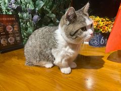 -IFIF 如果花園(宽厚里店)