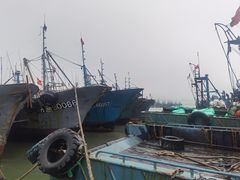 -青岛沙子口国家中心渔港