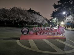 -武汉大学-樱园