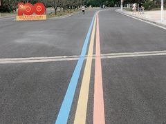 -羊山湖公园
