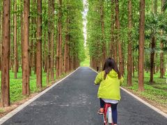 -东平国家森林公园