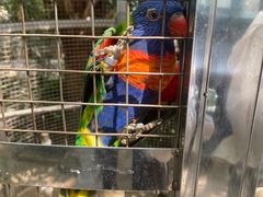 -大连森林动物园