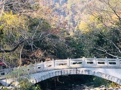 -广州市石门国家森林公园