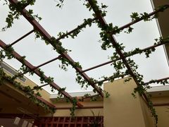 -LANN I 蘭·泰式古法按摩(长宁来福士东八区店)