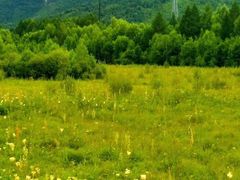 -阿尔山市大兴安岭奥伦布坎景区