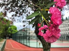 -苏州大学(天赐庄校区)
