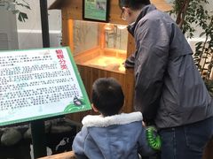 -上海大自然野生昆虫馆(东方明珠·爬宠昆虫探索中心)