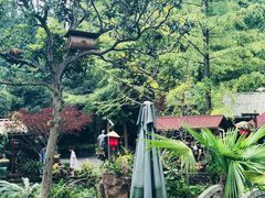 -青城甲(青城山店)