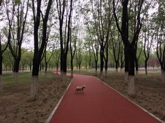 -北京佳信宠物医院