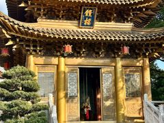 -上海东林寺(金山区)
