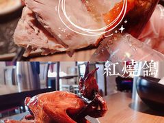 -大鸽饭(岗顶店)