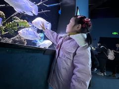 -重庆欢乐海底世界