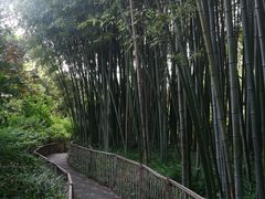 -汇龙潭