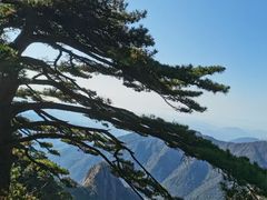 -黄山风景区