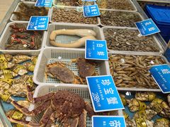 -双井轩(双井店)