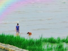 -奉贤海滩