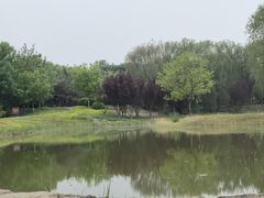 -永定河休闲森林公园