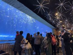 -华夏文旅西安度假区