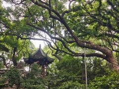 -绮园景区
