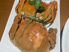 -0574龙虾的故事(东裕店)