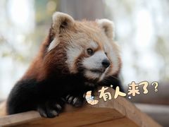 -北京动物园