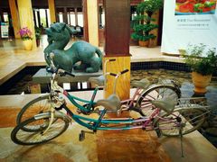 android_upload_pic-三亚亚龙湾红树林度假酒店