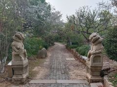 -雨花胜境