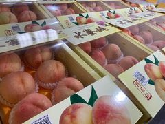 -南汇水蜜桃采摘(大团店)