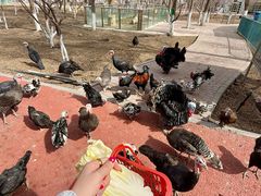 -水上乐园·欢乐世界