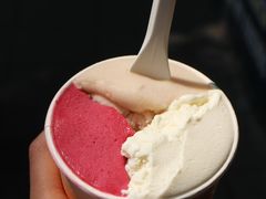 -Dip in Gelato(富民路店)