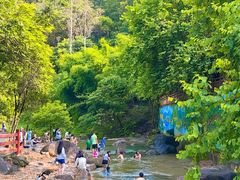 -广州白江湖森林公园