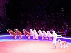 -珠海横琴长隆《卡卡虎奇遇记》