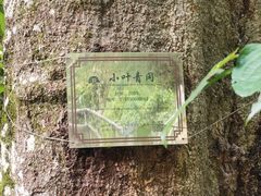 -太湖源风景区