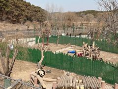 -沈阳森林动物园