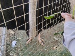 -意大利农场度假村