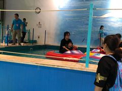 -蒙特利亲子乐园