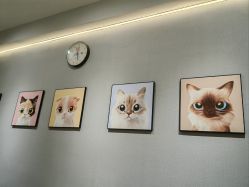 -洗脸猫·洗脸吧