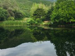 -北京植物园南门售票处