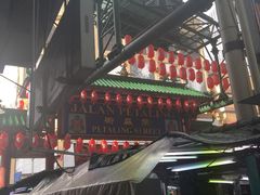 -罗汉果龙眼冰糖燉冬瓜
