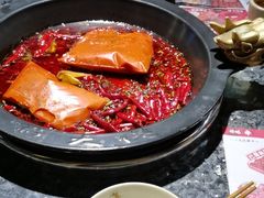 -蜀大侠火锅(建设路第五大道店)