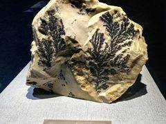 -青田石雕博物馆