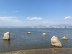-洱海月湿地公园
