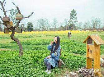 成都的春游主题周，休闲生活季