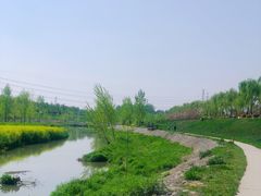 -洨河生态公园