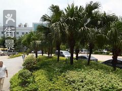 -神州租车(白云机场T1服务点)
